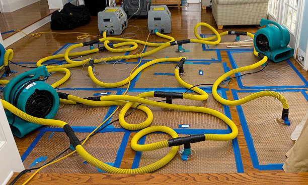 Professional Sewage Cleanup technician working in Hartstown, PA